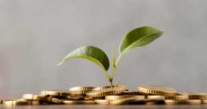 métricas clave que todo inversor debe conocer